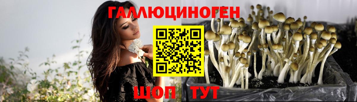 Галлюциногенные грибы Cubensis Анапа